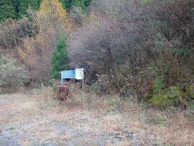 f0193521_1726473.jpg