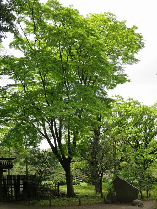 b0162728_15132081.jpg