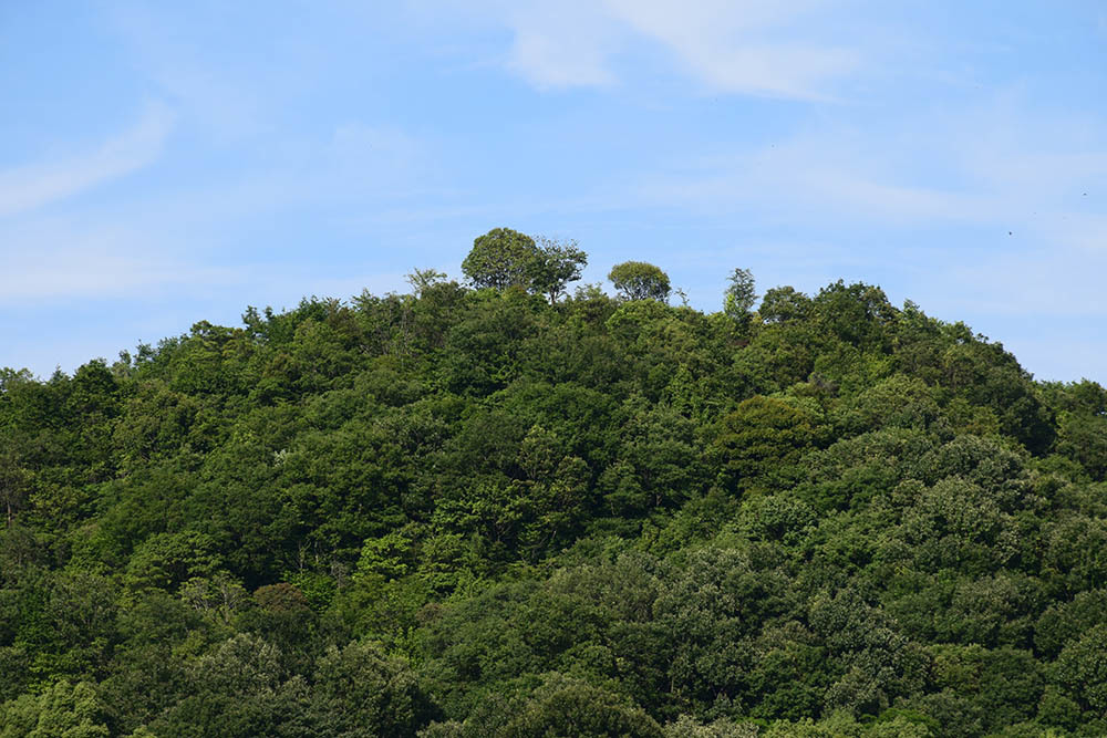 e0158128_11383496.jpg