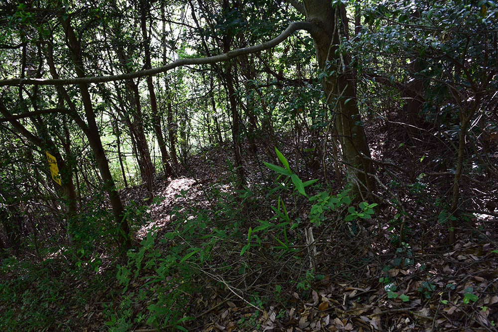 e0158128_11470234.jpg