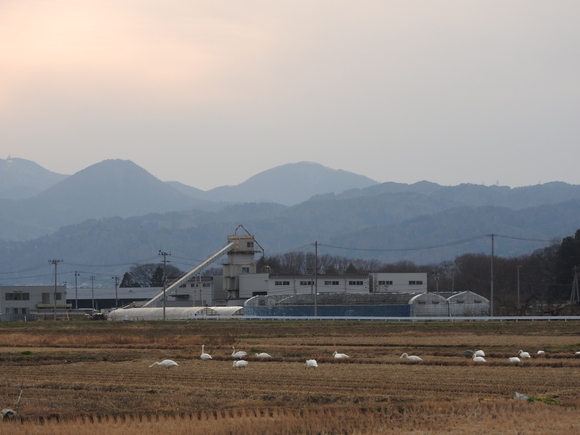 f0118332_010763.jpg