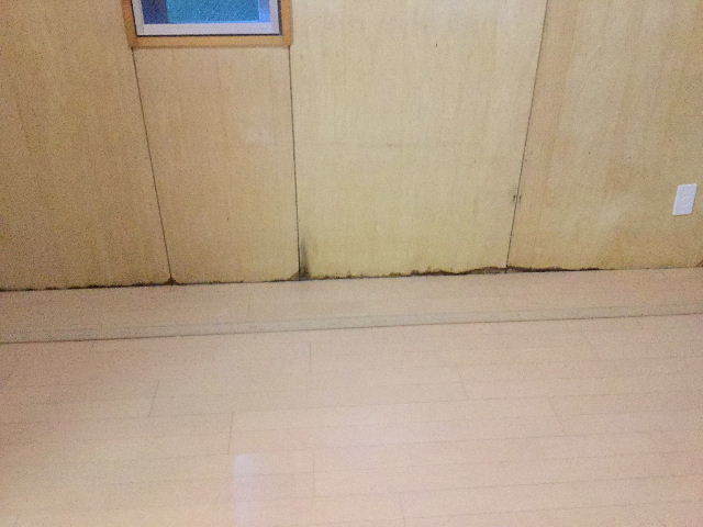 f0031037_19383259.jpg