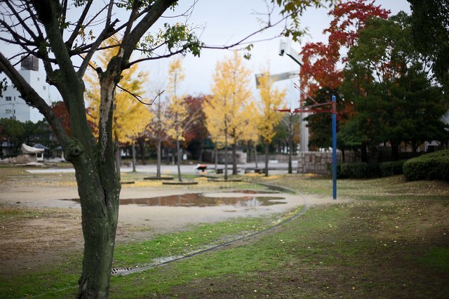 a0242438_22230449.jpg