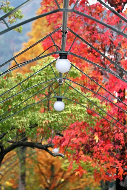 a0242438_22254064.jpg