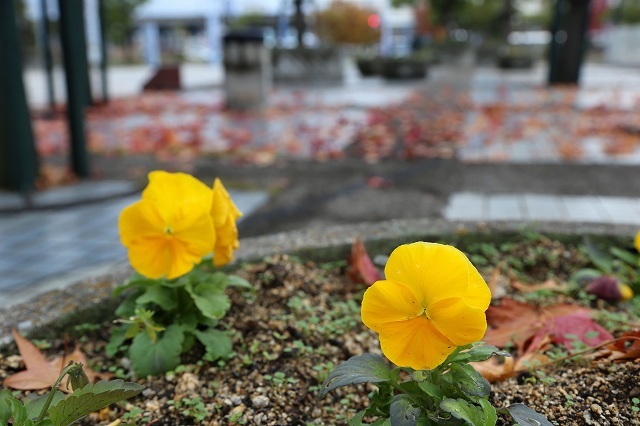 a0242438_22272154.jpg