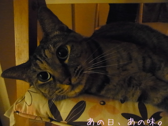 a0305046_11034641.jpg