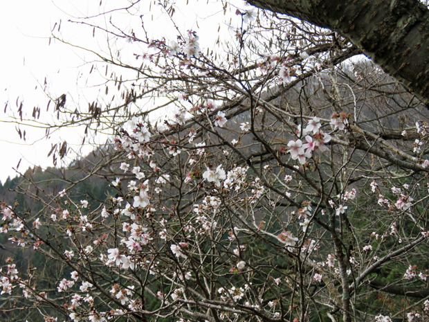 f0214649_4574598.jpg
