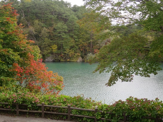 f0202151_22382649.jpg