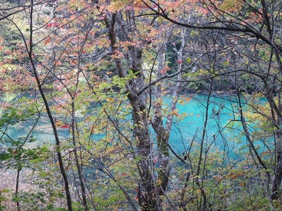 f0202151_22432773.jpg