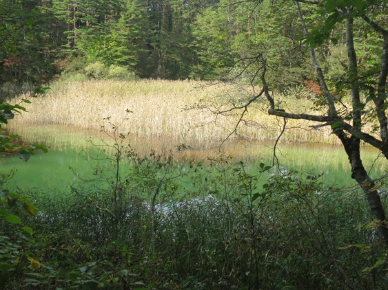 f0202151_224421100.jpg