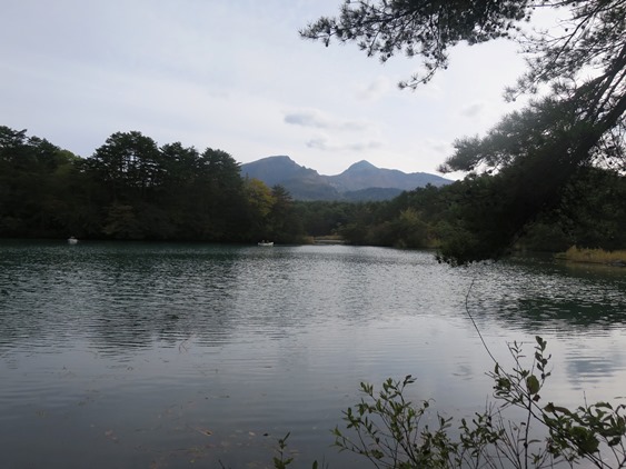 f0202151_22465523.jpg
