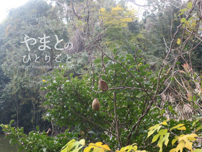 a0286855_06272172.jpg