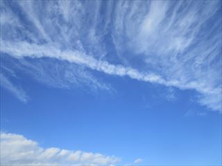 d0045362_9421145.jpg