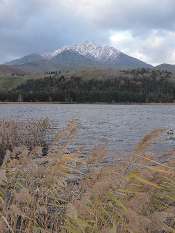 d0029363_00360.jpg