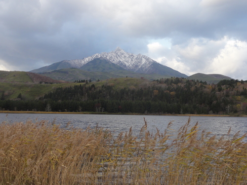 d0029363_23591615.jpg
