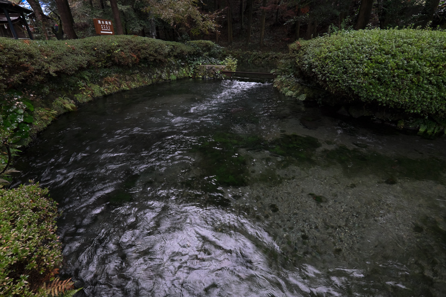 f0369264_9404775.jpg