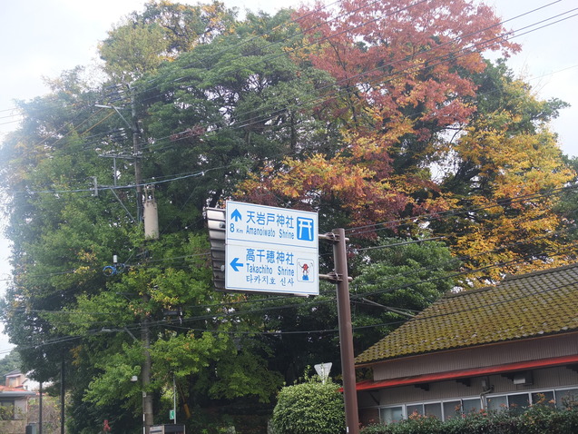 d0193569_8522588.jpg