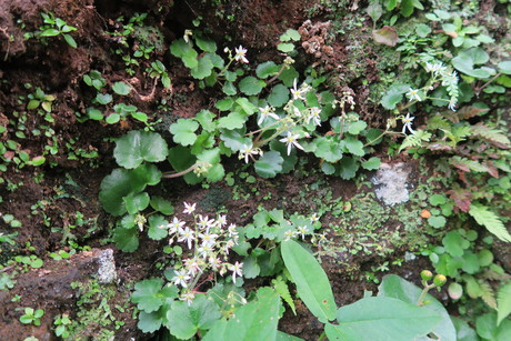e0292172_2030167.jpg