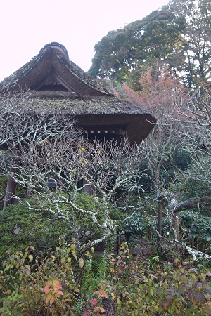 d0124878_19433220.jpg