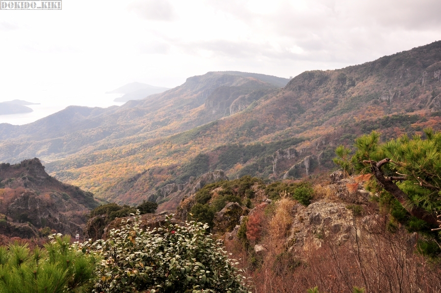c0220084_22502969.jpg