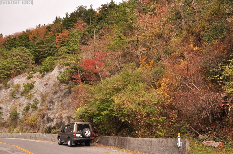 c0220084_2254221.jpg