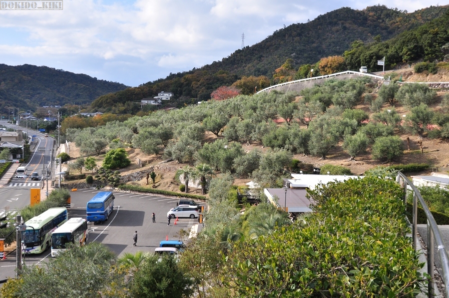 c0220084_235206.jpg