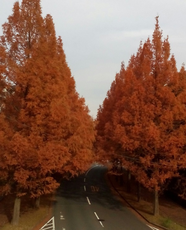e0023790_22442838.jpg