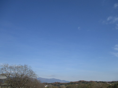 d0333091_1249980.jpg