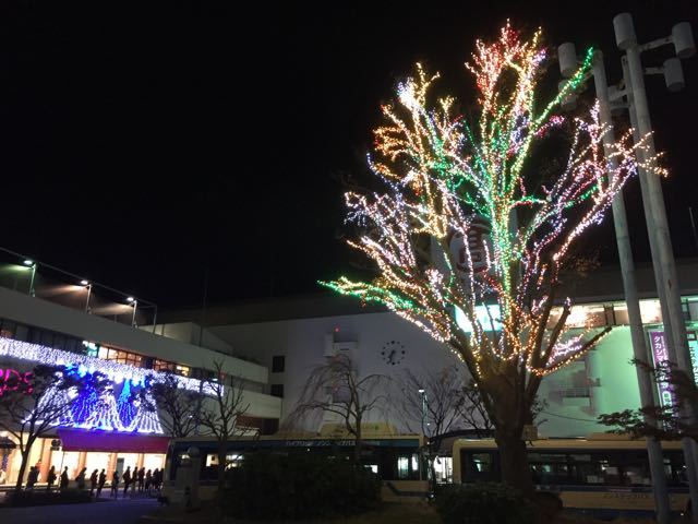 f0130894_23140515.jpg
