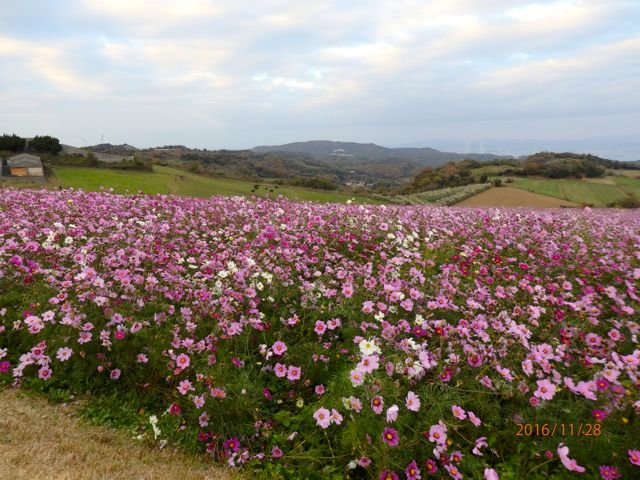 c0149195_21554669.jpg