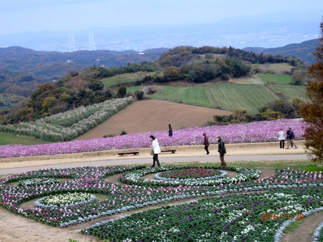 c0149195_21564776.jpg