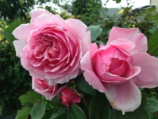 f0201297_09424956.jpg