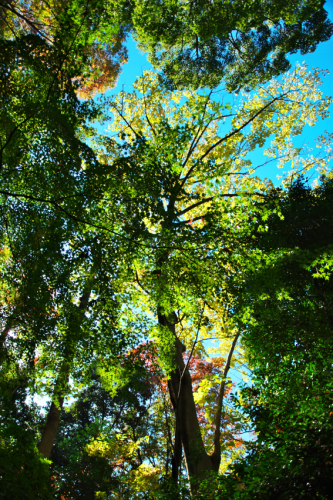 a0263109_19500357.jpg