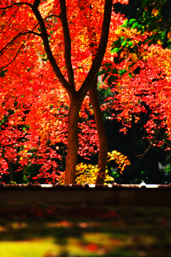 a0263109_20111419.jpg
