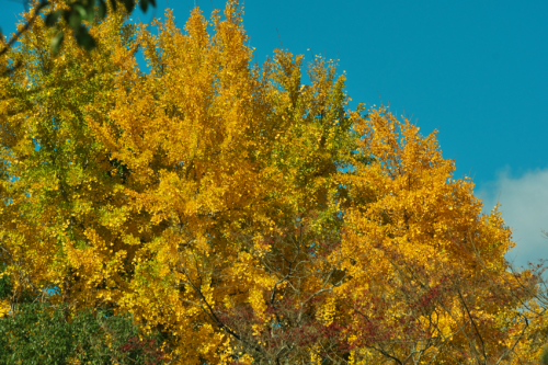 a0263109_20111643.jpg