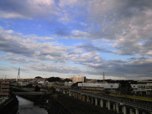 b0285619_16304348.jpg
