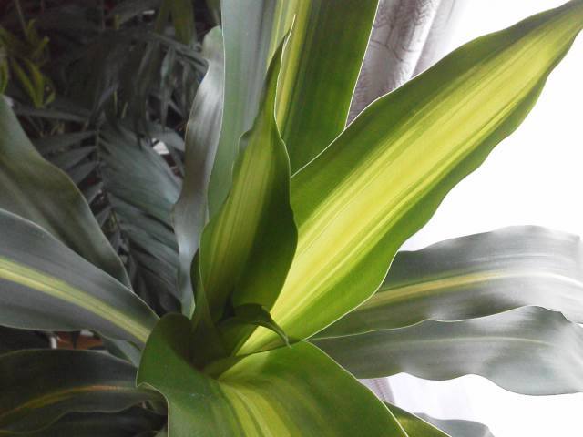 a0268821_21532487.jpg