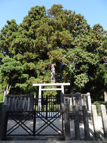 f0000521_15472452.jpg