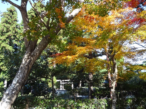 f0000521_1665473.jpg