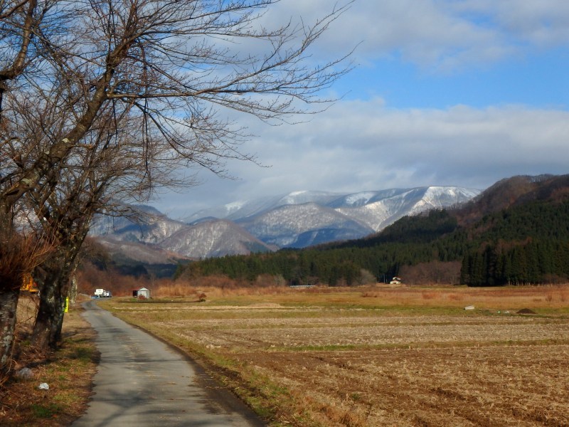 d0091323_18244415.jpg