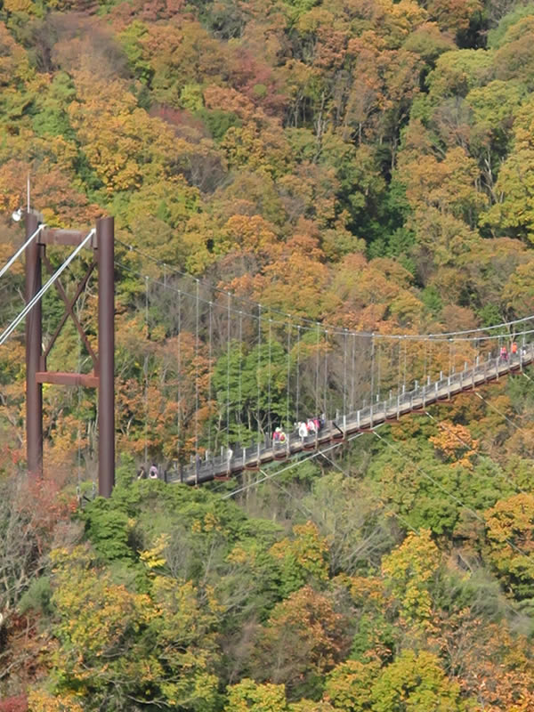 d0352628_11401663.jpg