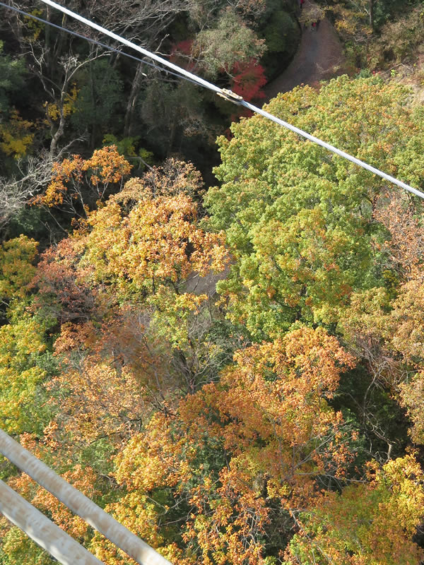 d0352628_1533720.jpg