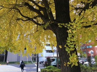 b0040332_20204997.jpg