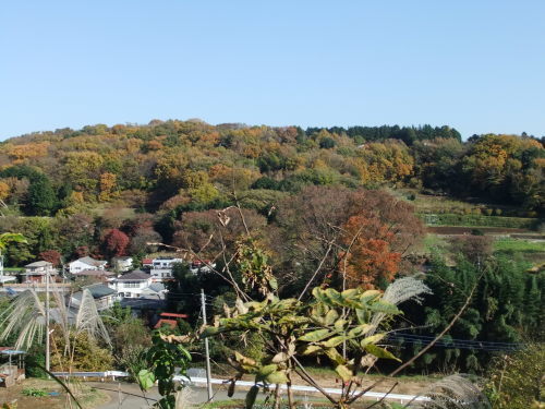 b0137932_14314253.jpg