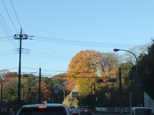 b0137932_14320659.jpg
