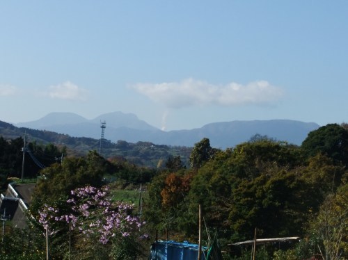 b0137932_14334037.jpg