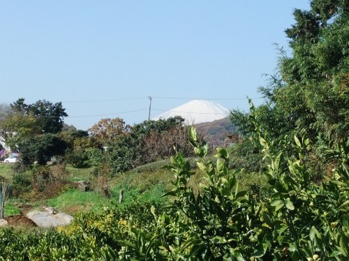 b0137932_14385594.jpg