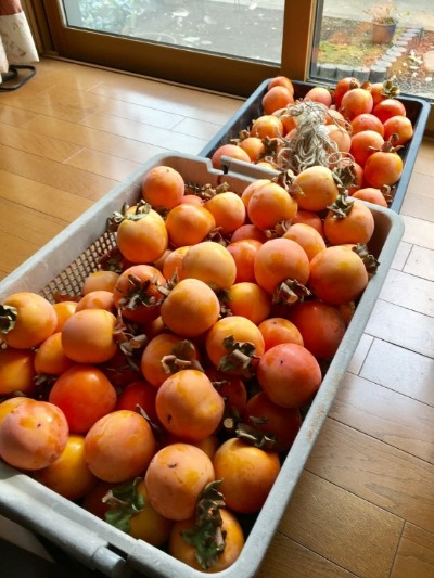 f0238932_1045491.jpg