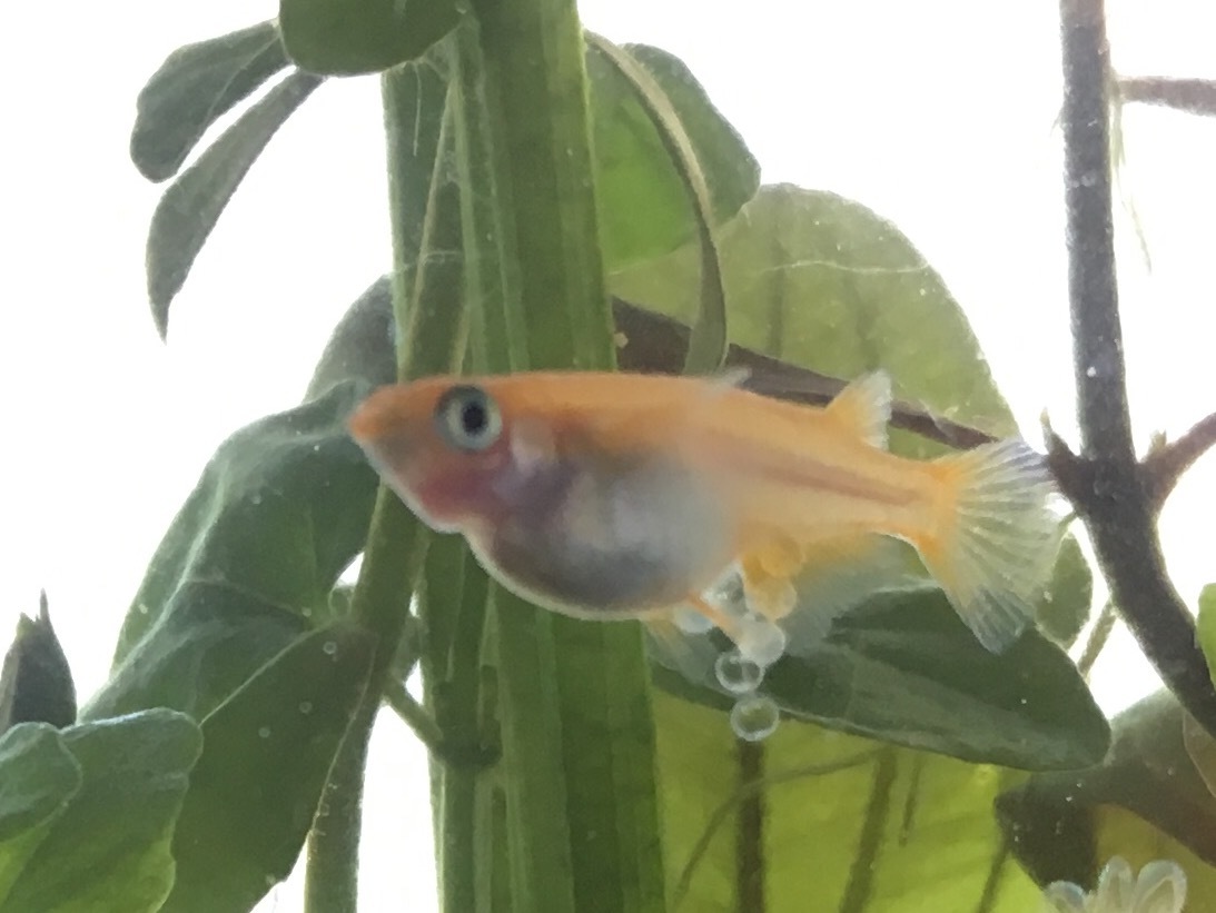 c0335833_11551831.jpeg