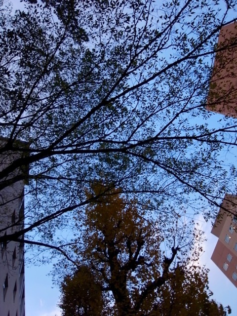 d0350542_00122197.jpg